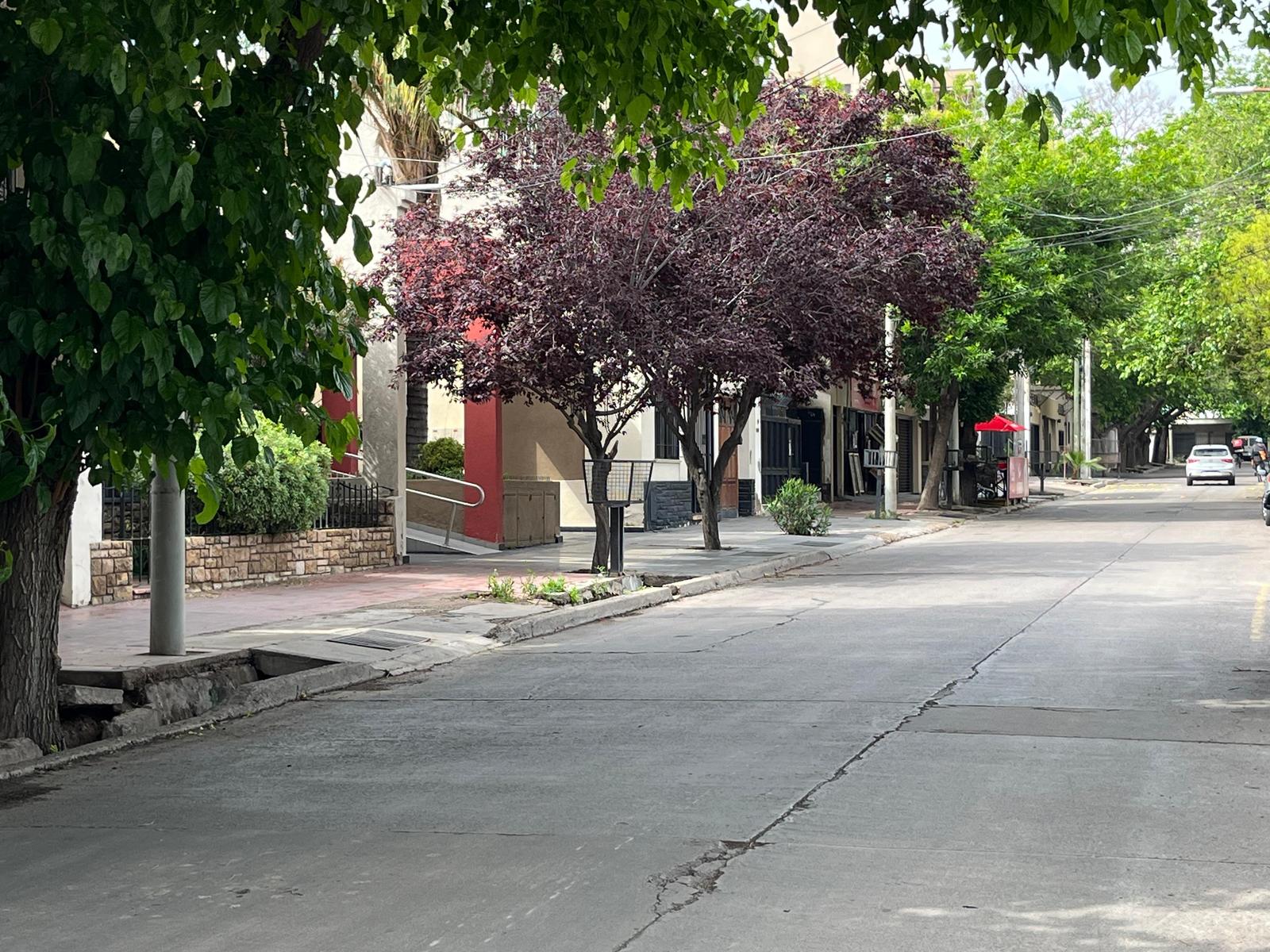Calle Roque Saen Peña al 1200