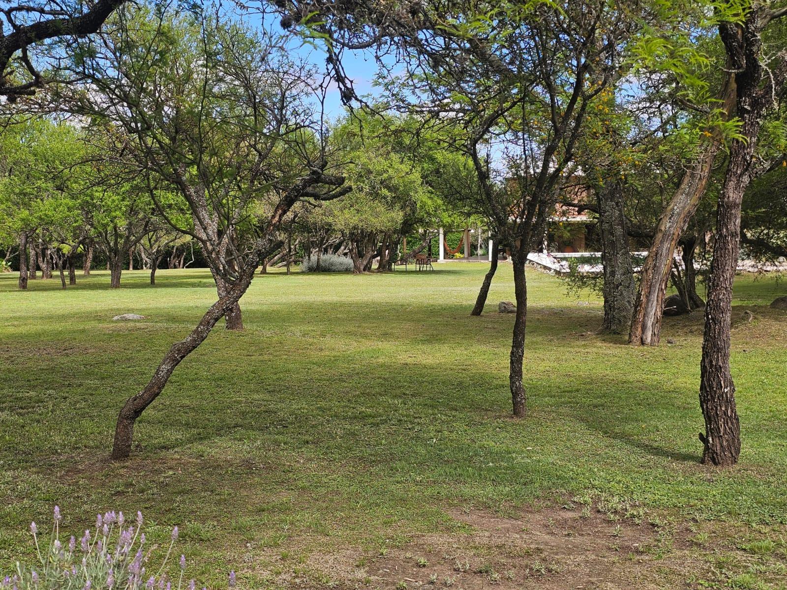 image 73