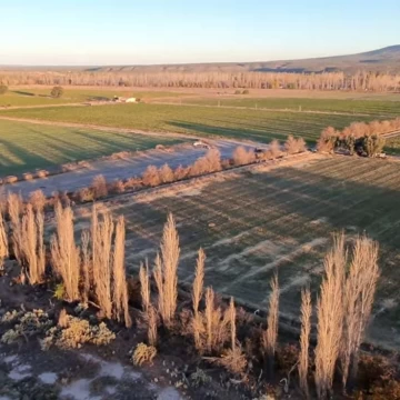 Terreno en Rama Caida