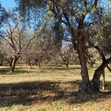 Terreno en  Venta