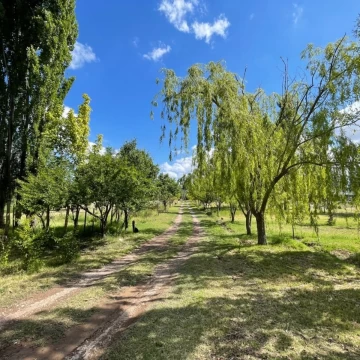 Quinta con el encanto rústico en San Rafael te espera