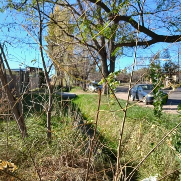 Terreno en San Rafael Villa Suter. Calle Sarmiento.