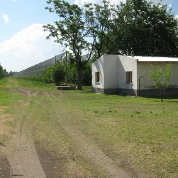 Finca en producción vitivinicola 