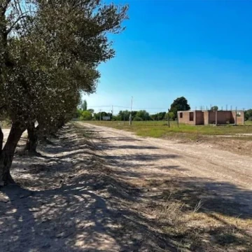 Terreno en Calle Carmona - Las Paredes