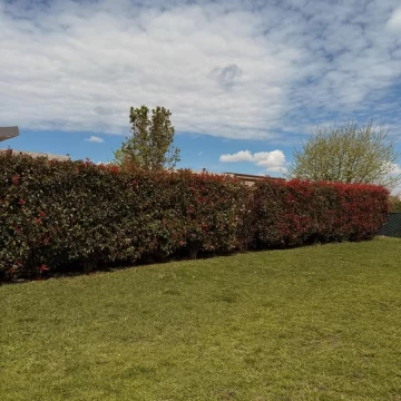 1793117002.jpg