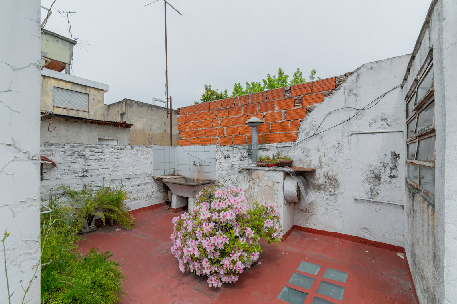 image 22
