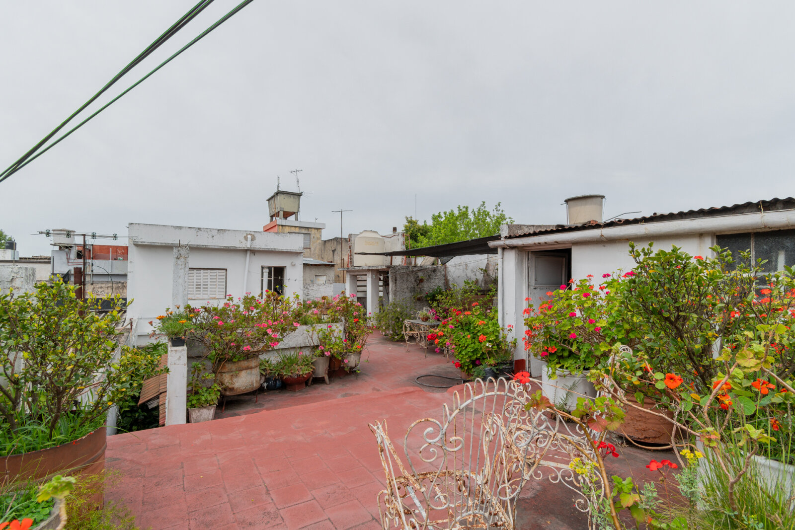 image 25