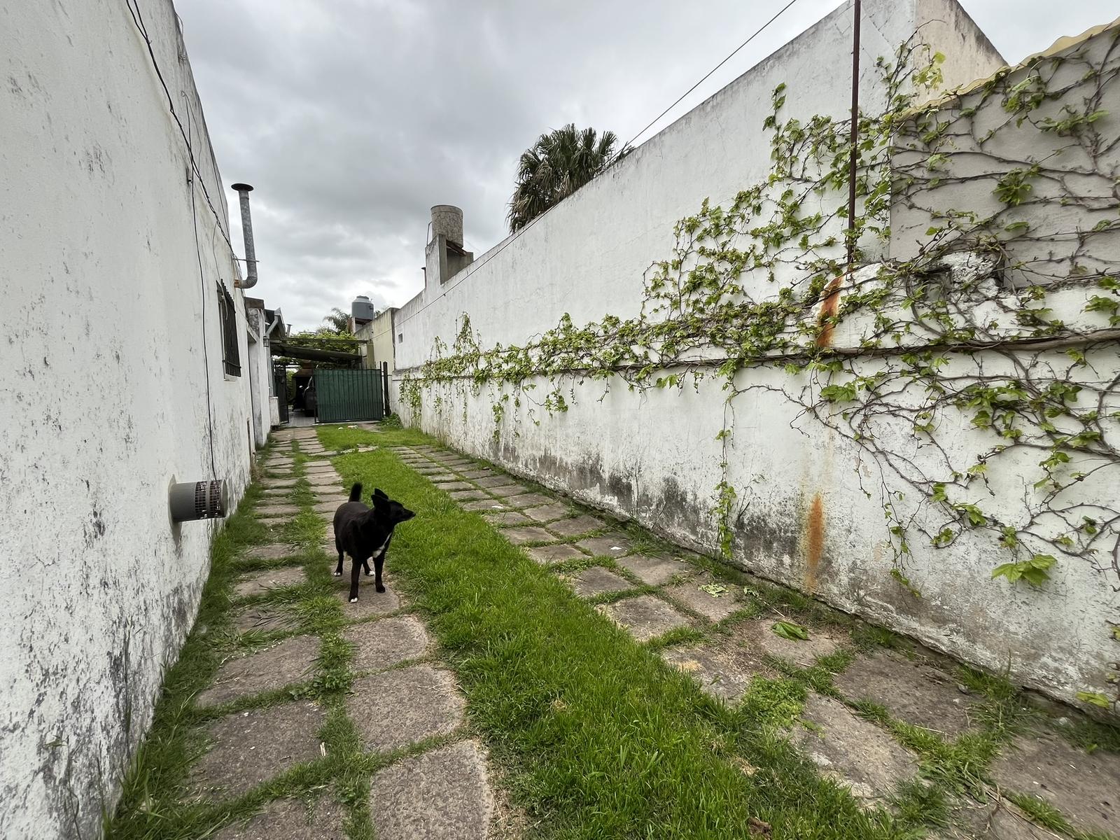 image 28