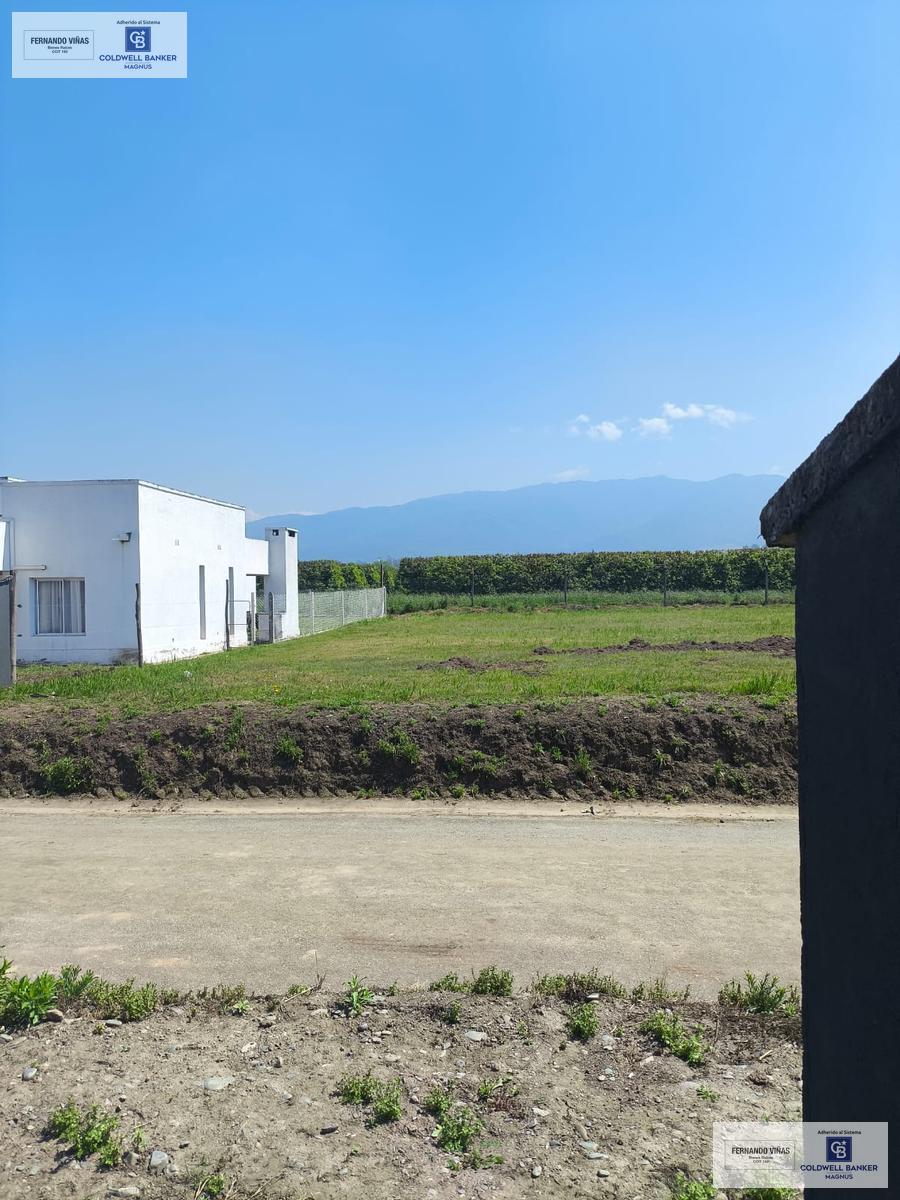 vista desde el terreno hacia el tereno vecino de adelante