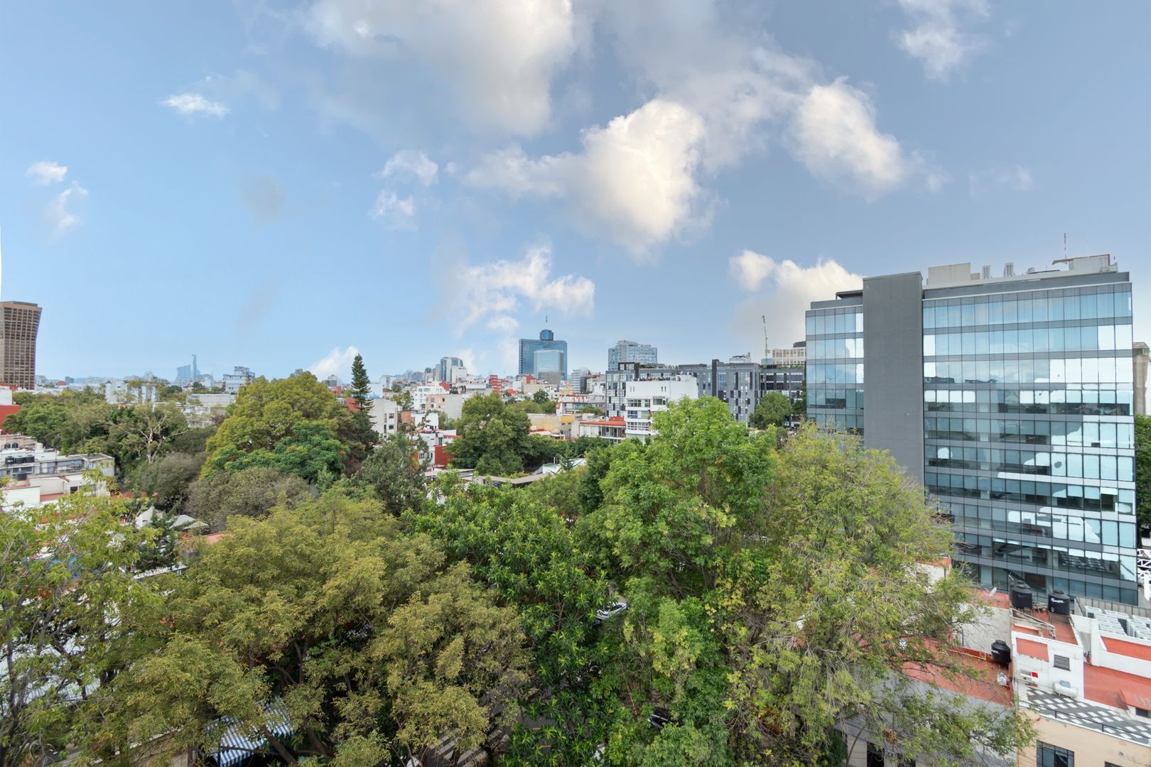 DSC_1520.jpg