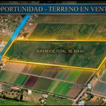 Terreno de 9 Hectáreas en Los Corralitos | Desarrollo e Inversión en Mendoza