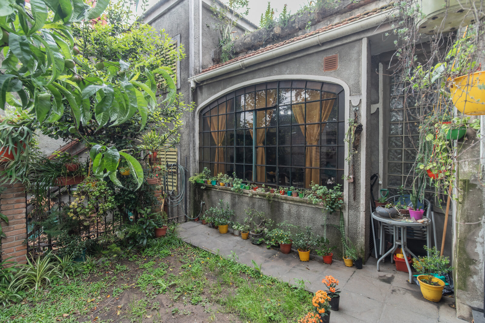 image 15