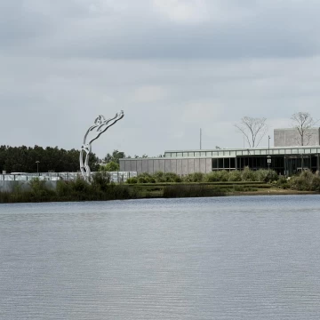 Terreno al agua 