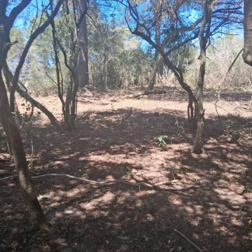 Terreno en Ocean Park, Punta Ballena – lote de 720 m² en entorno de bosque