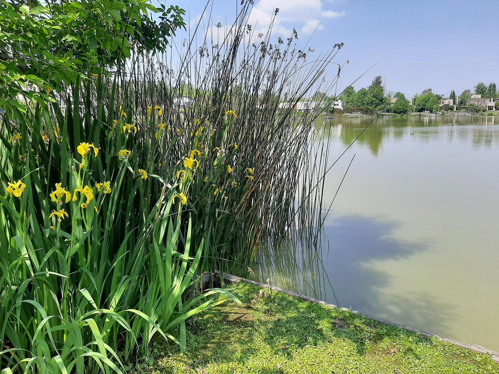 image 27