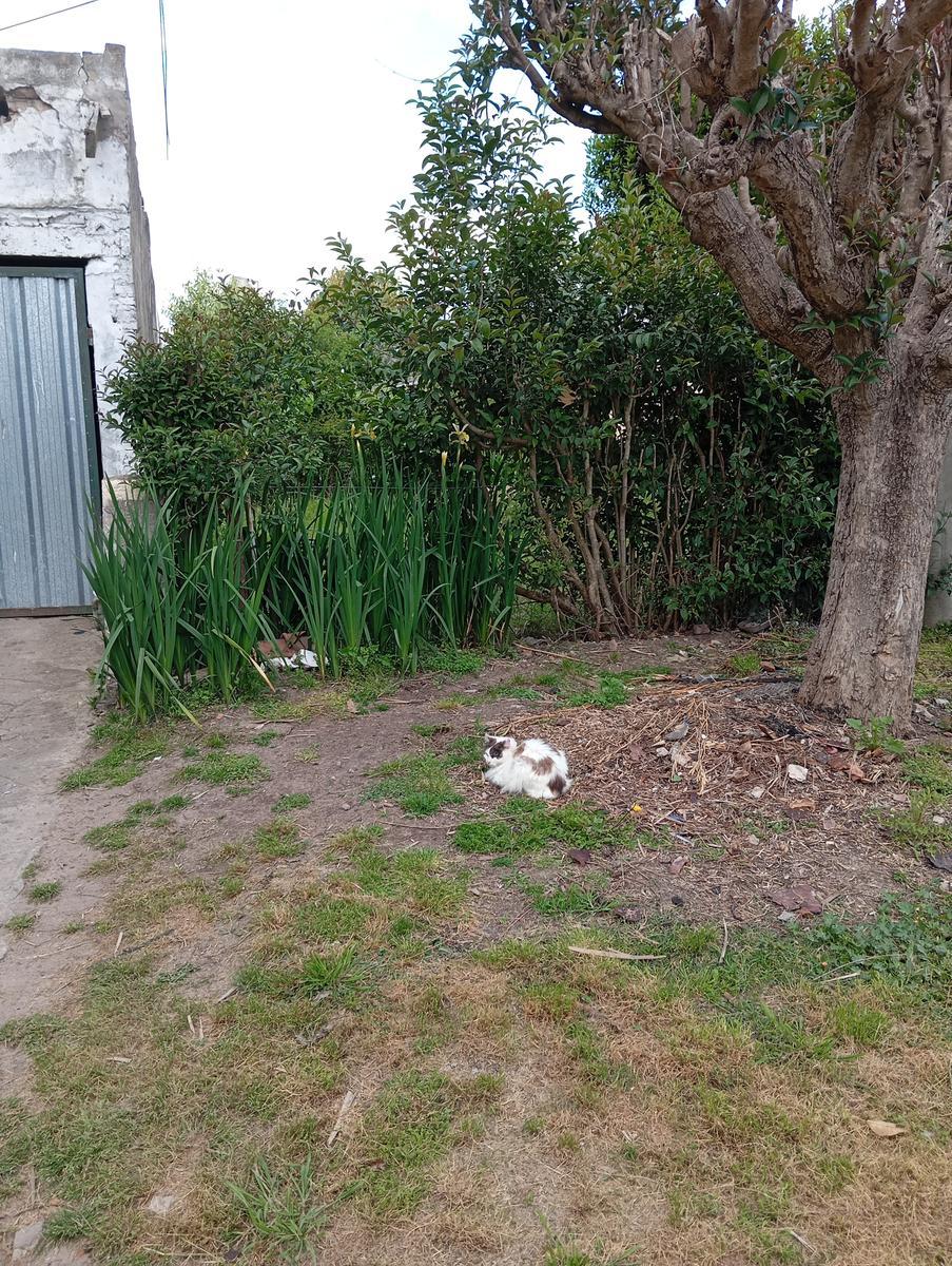 image 30