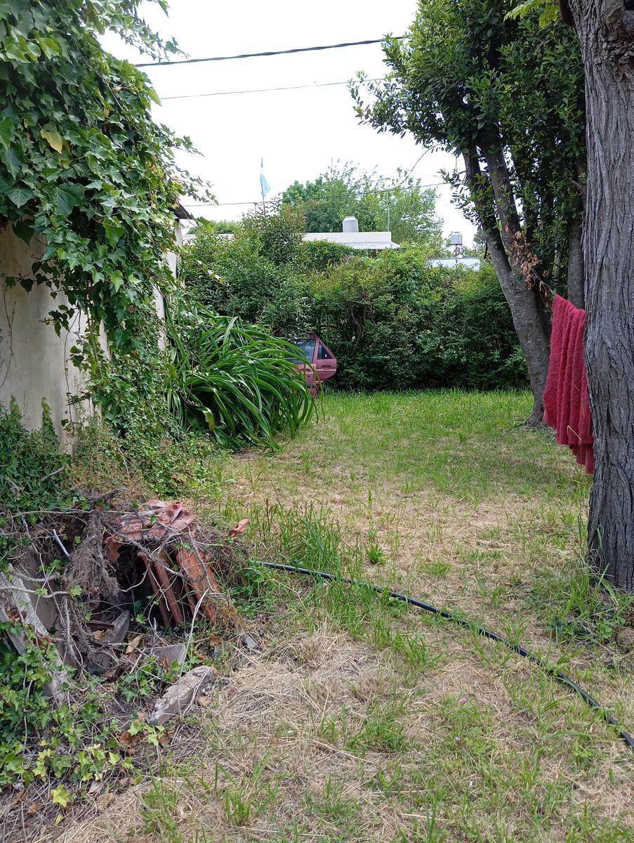 image 38
