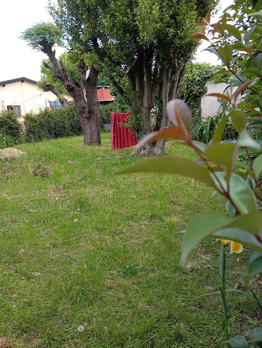 image 39
