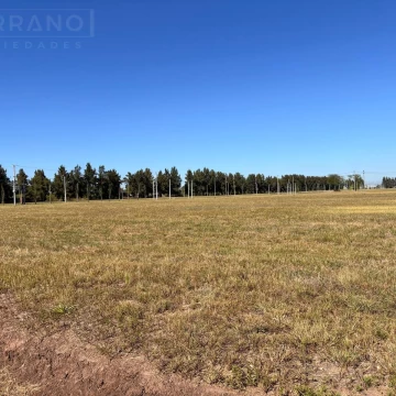 Terreno en venta 1000m2, barrio abierto Praderas 2 de Los Cardales con posesión inmediata