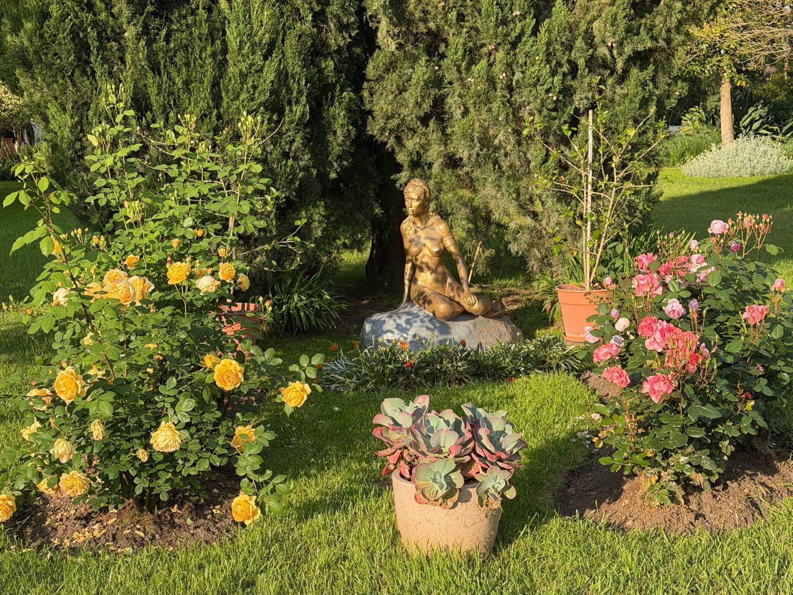 image 26
