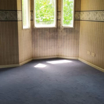 1793298261.jpg