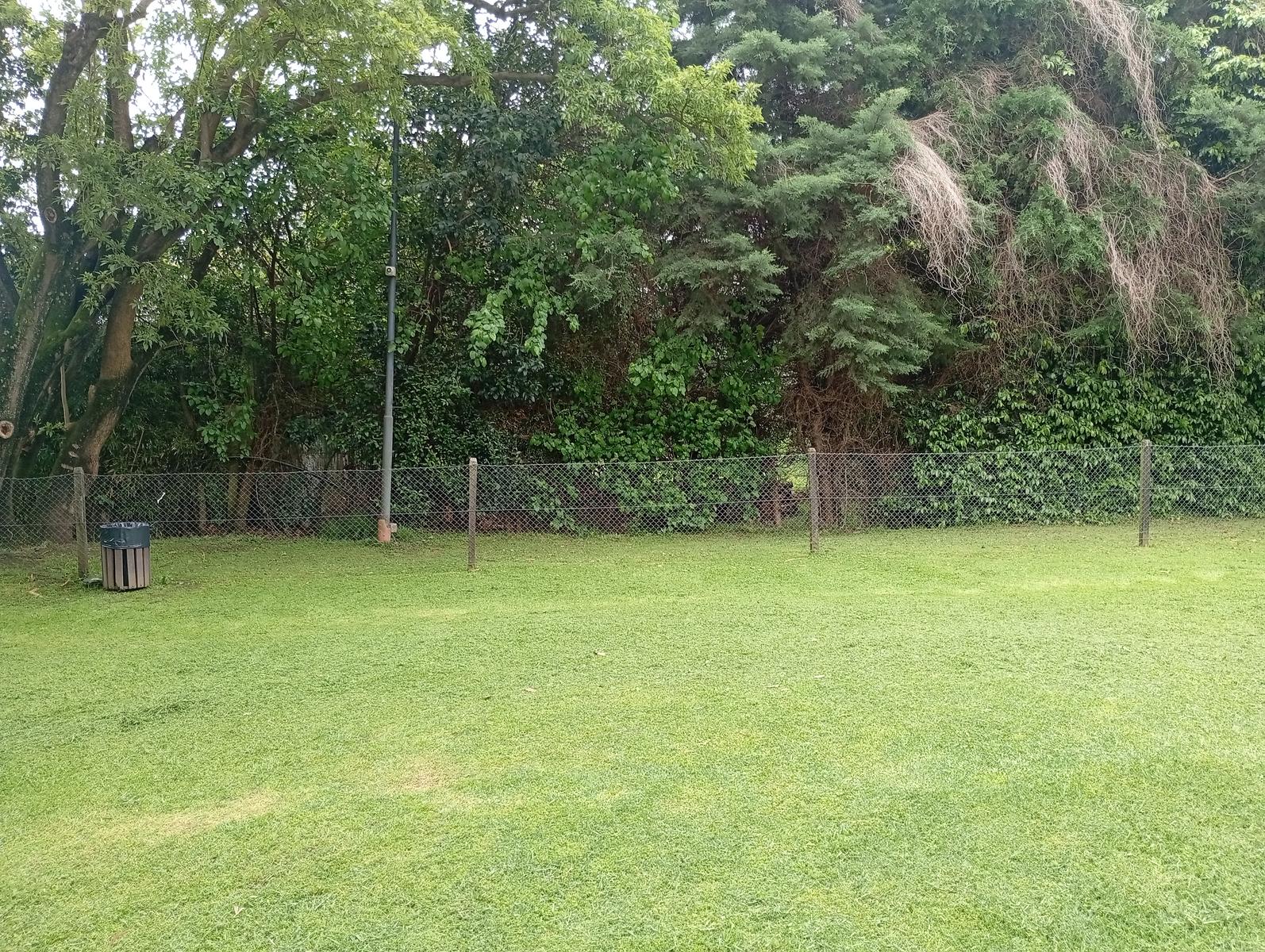 image 29