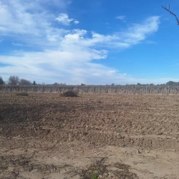 VENTA DE TERRENO BUEN ORDEN, SAN MARTÍN