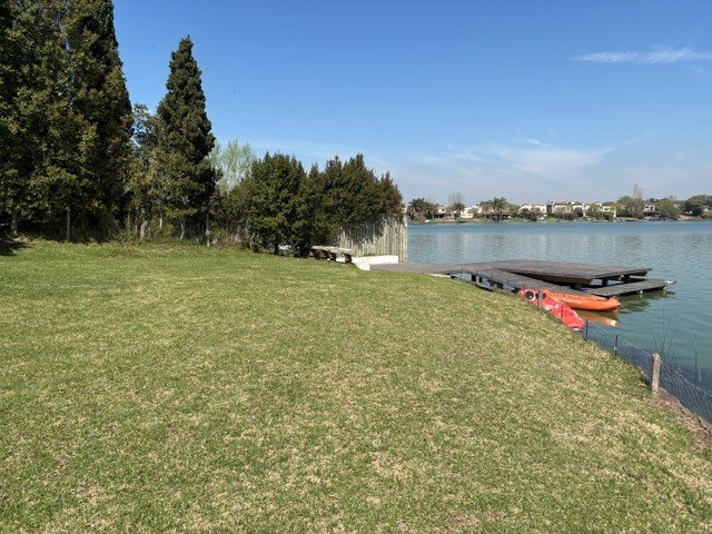 image 41