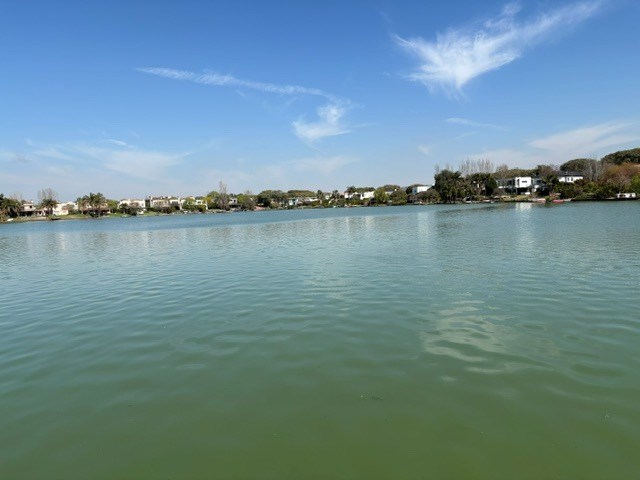 image 43
