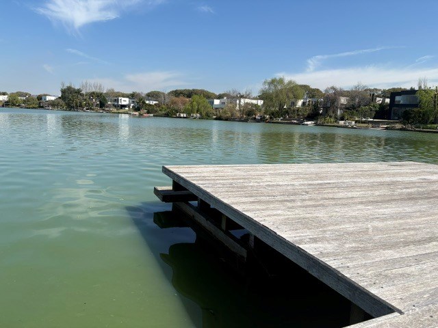 image 49