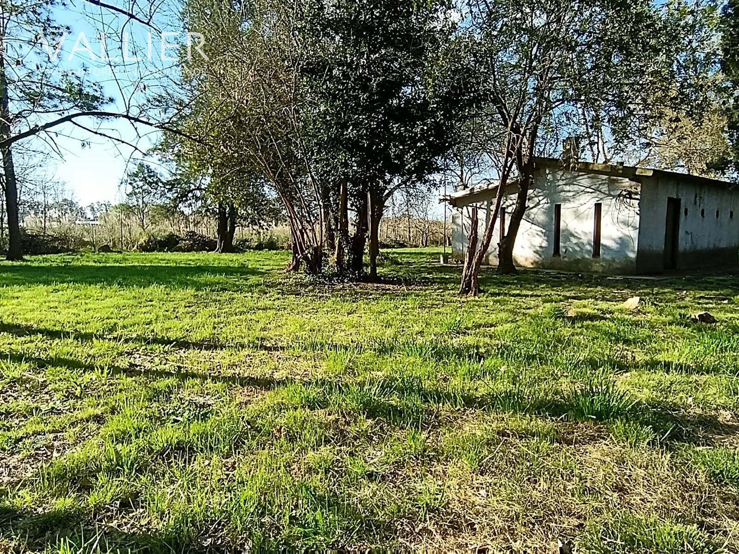 image 14
