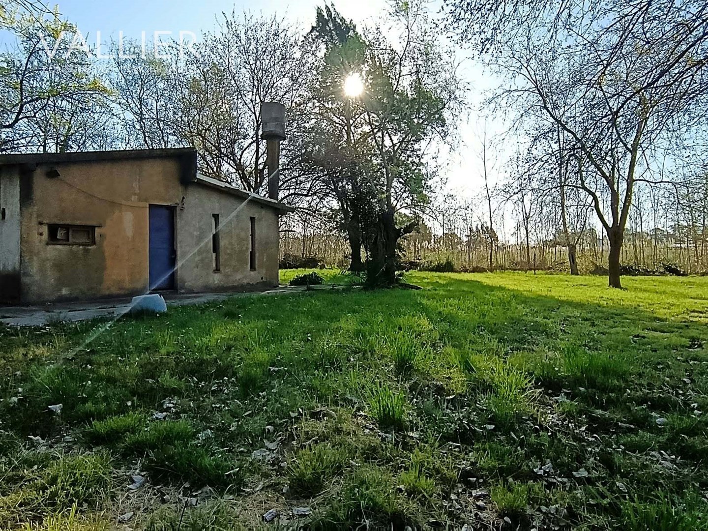 image 15