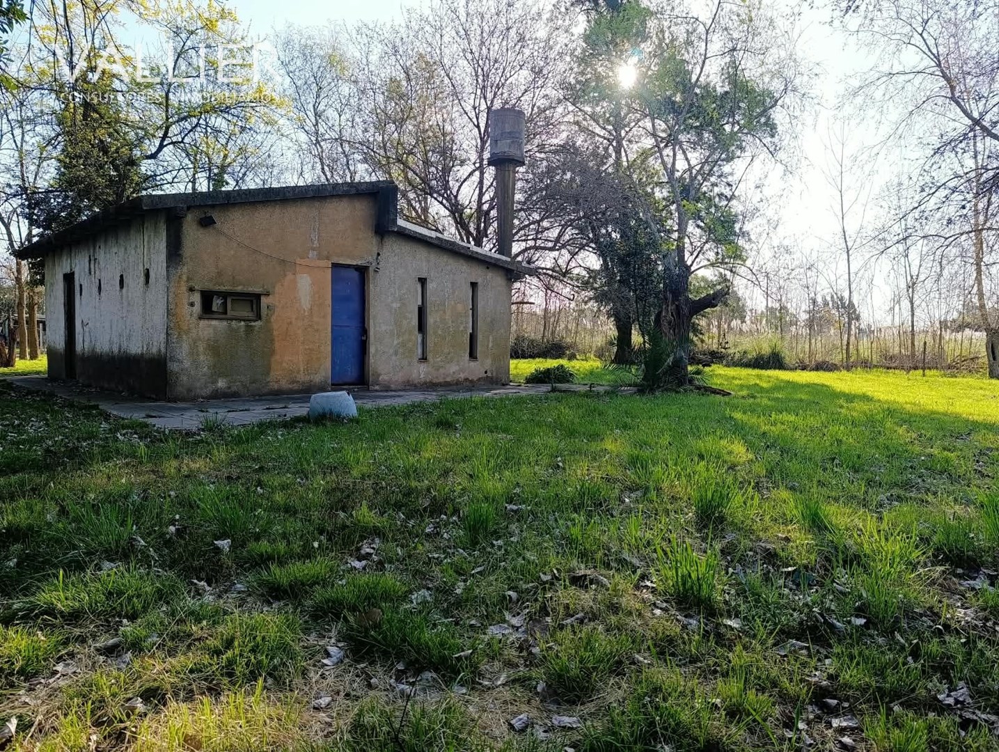image 18