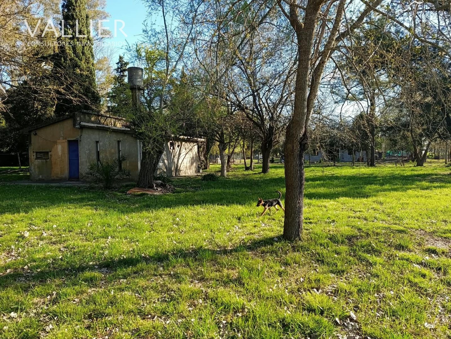image 21