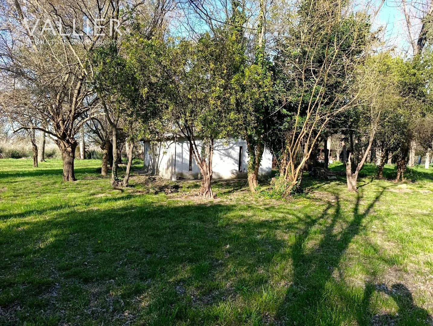 image 25