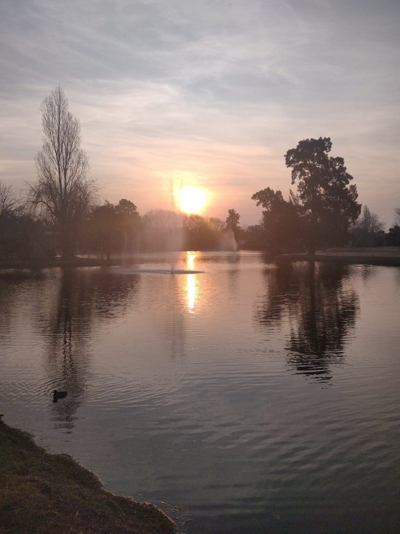 image 28