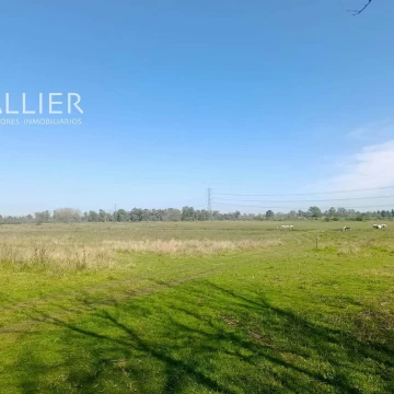 Terreno Campo  en Alquiler en Pilar, G.B.A. Zona Norte, Argentina