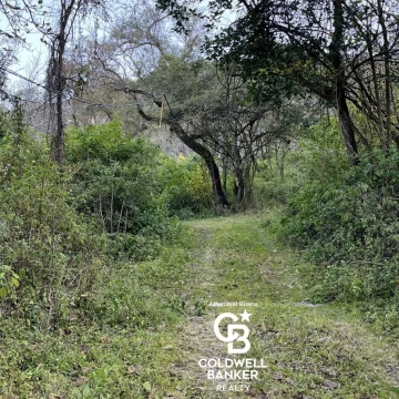 VENDO TERRENO EN CASTELLANOS 