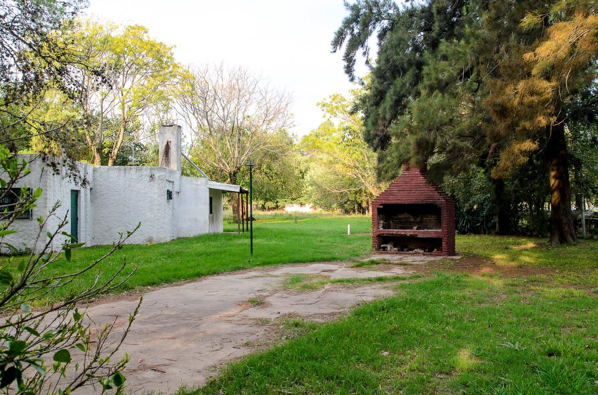 image 14
