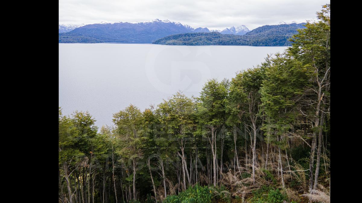 image 13