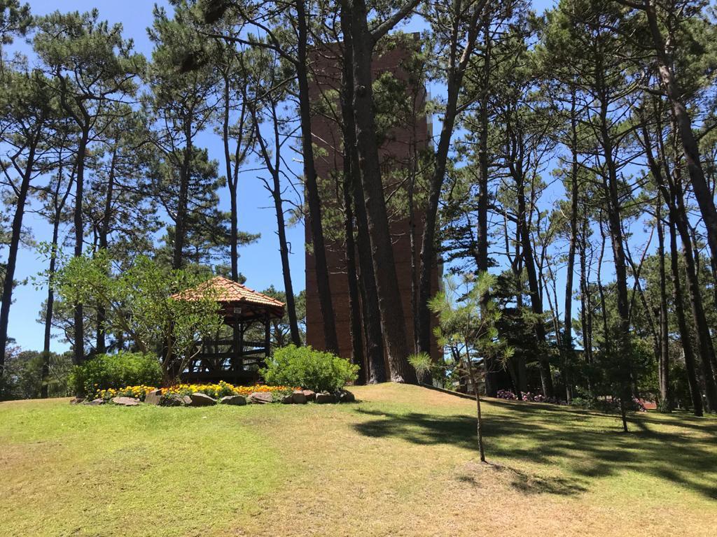 image 14