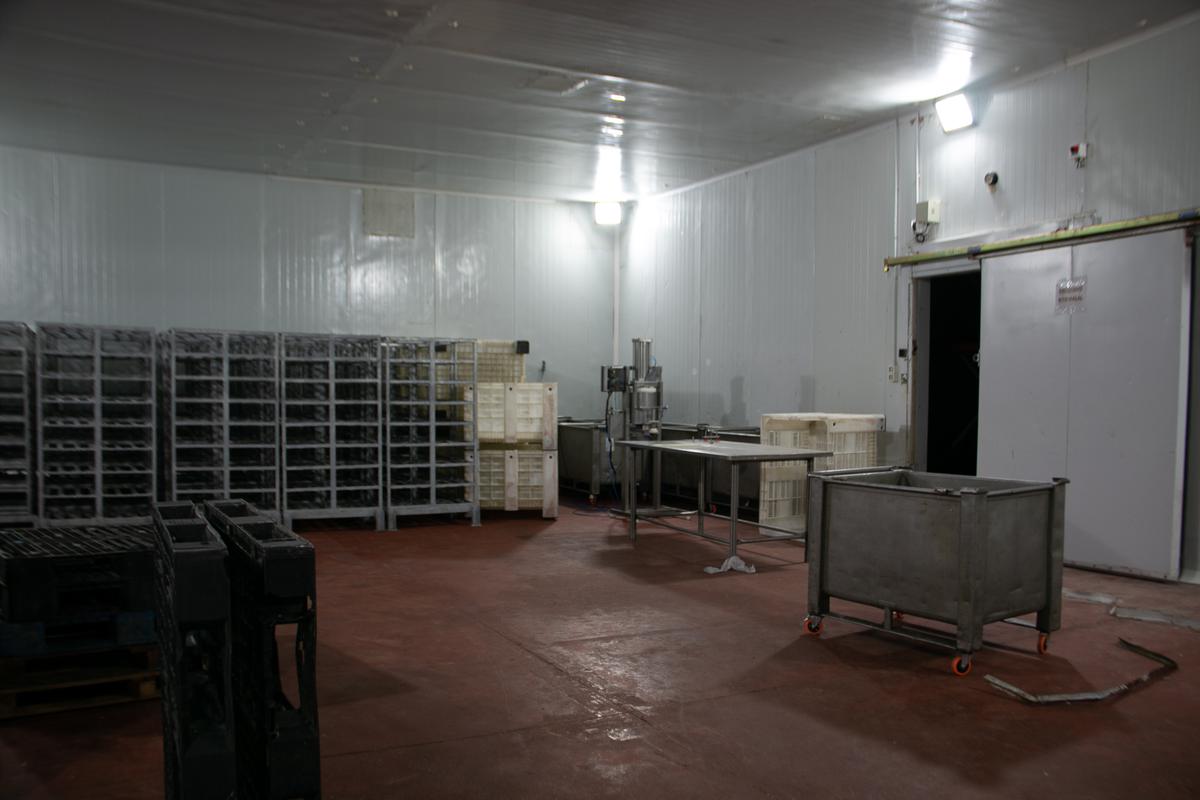 image 23