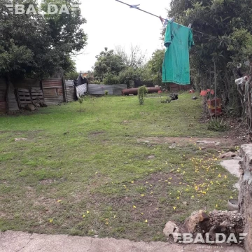1673381547.jpg