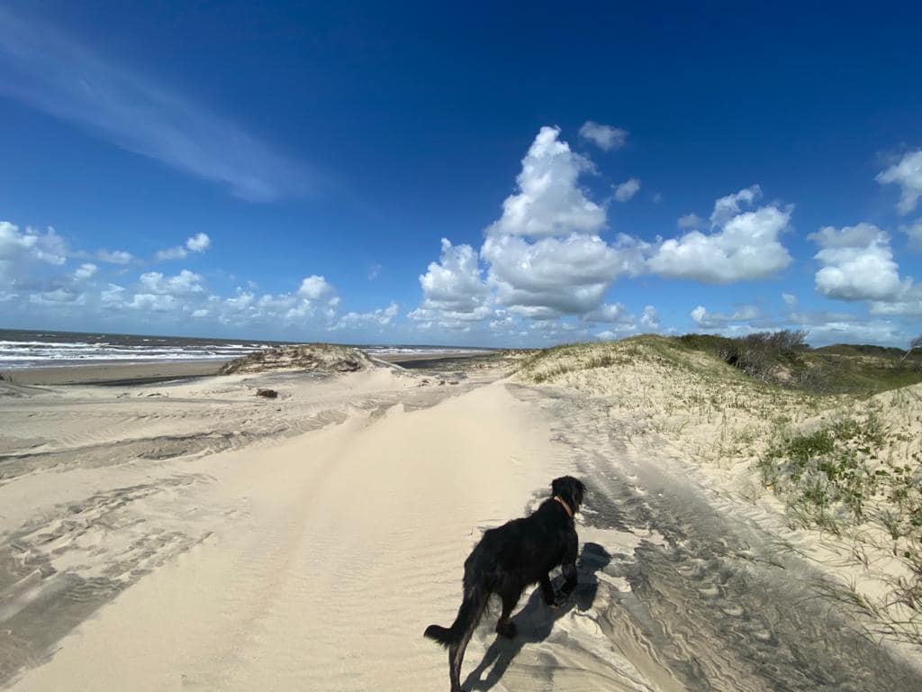 Vivis en un country , construi tu casa de mar en Uruguay a escasos km de Brasil , 2500 metros de terreno con privacidad total