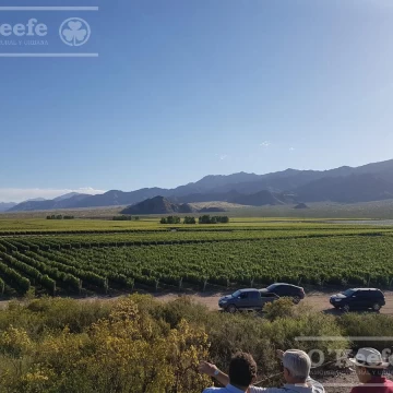 Viñedo Premium de altura en Mendoza en venta sobre Fracción de 23 Has - Oportunidad