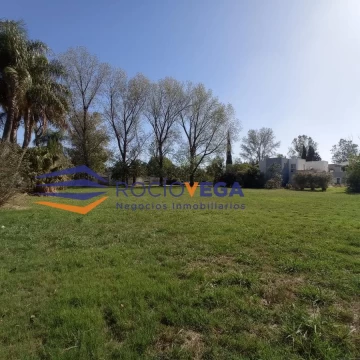 1681489465.jpg