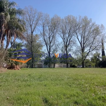 1681489466.jpg