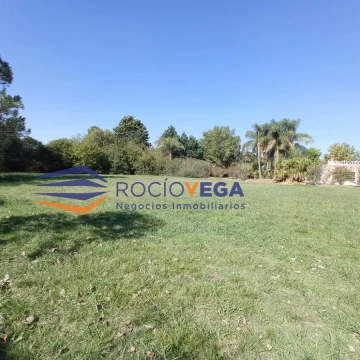 1681489466.jpg