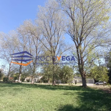 1681489466.jpg
