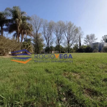 1681489467.jpg